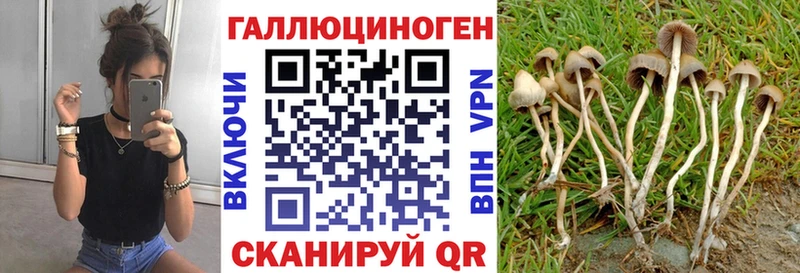 blacksprut рабочий сайт  Афипский  Псилоцибиновые грибы Psilocybe 